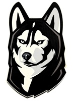 Husky Head